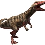 Thylaconyx