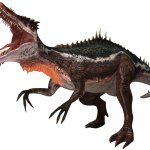 Suchotator