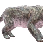 Blythe's snow leopard (JWA Design)