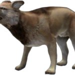 Dire Wolf (JWA Design)