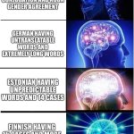 european languages | SPANISH HAVING VERB CONJUGATION AND NOUN GENDER AGREEMENT; GERMAN HAVING UNTRANSLATABLE WORDS AND EXTREMELY LONG WORDS; ESTONIAN HAVING UNPREDICTABLE WORDS AND 14 CASES; FINNISH HAVING 15 CASES AND MORE EXTENSIVE GRAMMAR | image tagged in memes,expanding brain,language | made w/ Imgflip meme maker