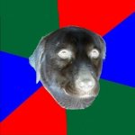 Politically intense dog