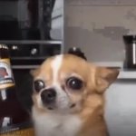 11 GIF Template