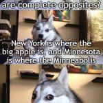 "joke" ahh joke | Did you know that New York and Minnesota are complete opposites? New York is where the big apple is, and Minnesota is where the Minneapolis | image tagged in memes,bad pun dog,funny,meme,funny meme,funny memes | made w/ Imgflip meme maker