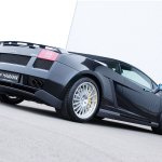 2004 Hamann Gallardo meme