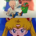 Sailor moon tells who to shut up ?