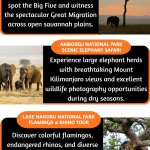 Best Kenya Safari Packages