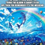the best feeling | POV: HOW IT FEELS WHEN YOU THINK THE ALARM IS ABOUT TO GO OFF THEN YOU REMEMBER IT'S THE WEEKEND | image tagged in symphony meme,school,bed,happy dolphin rainbow | made w/ Imgflip meme maker