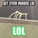 Get stick bugged | LOL | image tagged in gifs,old memes,get stick bugged lol,lol | made w/ Imgflip video-to-gif maker