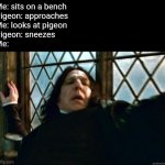Snape Meme | Me: sits on a bench
Pigeon: approaches
Me: looks at pigeon 
Pigeon: sneezes
Me: | image tagged in memes,snape | made w/ Imgflip meme maker