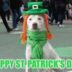 Happy St. Patrick's Day. | HAPPY ST. PATRICK'S DAY. | image tagged in st patrick's day | made w/ Imgflip meme maker