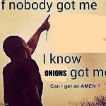 Onions got me | ONIONS; I | image tagged in if nobody got me blank,onion,onions,memes,meme,vegetable | made w/ Imgflip meme maker
