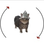 Tinfoil cat cycle