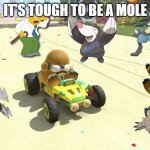 it's tough to be a mole | IT'S TOUGH TO BE A MOLE | image tagged in it's tough being a mole,video games,mario kart,nintendo,mole,hard times | made w/ Imgflip meme maker
