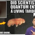 Did scientists just quantum entangle a living tartegrade meme