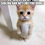 sibling | POV: WHEN YOU HIT YOUR SIBLING AND ACT LIKE YOU DIDN'T | image tagged in memes,cute cat,siblings | made w/ Imgflip meme maker