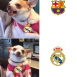 Madridfans chihuahua