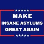 We need to bring back Insane Asylums again