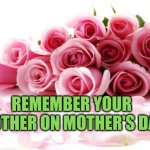 Remember your mother on Mother's Day | REMEMBER YOUR MOTHER ON MOTHER'S DAY | image tagged in flowers,autism,mothers day,celebration | made w/ Imgflip meme maker