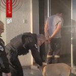 Dog Human, Detainee Dog template