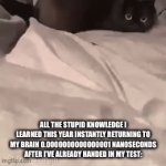 Hate it when this happens | ALL THE STUPID KNOWLEDGE I LEARNED THIS YEAR INSTANTLY RETURNING TO MY BRAIN 0.0000000000000001 NANOSECONDS AFTER I’VE ALREADY HANDED IN MY TEST: | image tagged in gifs,school,why,memes,funny,this is fine | made w/ Imgflip video-to-gif maker