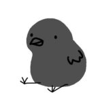 A wild pointcrow meme has appeared