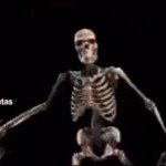 skeleton GIF Template