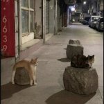 Longer than expected