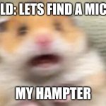 lets find a microwave | 5 YEAR OLD: LETS FIND A MICROWAVE; MY HAMPTER | image tagged in screaming hampster | made w/ Imgflip meme maker