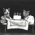 Vintage Birthday Cats