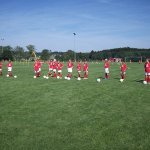 Ball Grass Mirror Image Mode