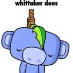 hmayhfg GIF Template