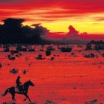 Blood Meridian Landscape