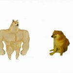 doge vs cheems