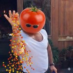Tomato Bae