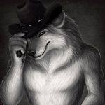 M’lady Wolf