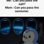 Can you pass the salt/can you pass the semester meme