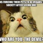 Scared Cat | KARENS FORCING THEIR PETS TO BE VEGANS: EXIST
SOCIETY AFTER SEEING ONE:; WHO ARE YOU, THE DEVIL?! | image tagged in memes,scared cat | made w/ Imgflip meme maker