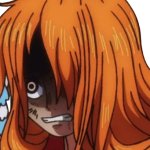 Angry Nami ( Wano )