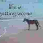 life is getting worse meme