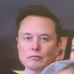 elon musk stare