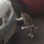 cat mecanic