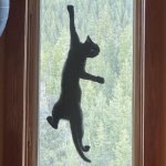 Cat on Screen template