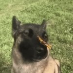 Dawg | How it feels to arrive to school early for the first time: | image tagged in gifs,funny,memes,relatable,funny memes | made w/ Imgflip video-to-gif maker