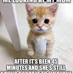 I need to SLEEP | ME LOOKING AT MY MOM; AFTER IT’S BEEN 45 MINUTES AND SHE’S STILL SAYING GOODBYE TO EVERYONE | image tagged in memes,cute cat | made w/ Imgflip meme maker