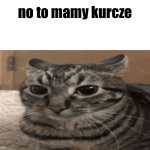 No to mamy kurcze