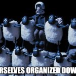 Get yourself organized down there! | GET YOURSELVES ORGANIZED DOWN THERE! | image tagged in get yourselves organized down there | made w/ Imgflip meme maker