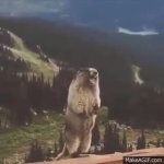 PrairieDogScream GIF Template
