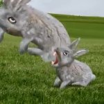 3 rabbits GIF Template