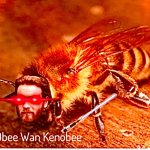 Bee
